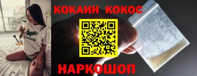 гашик Будённовск