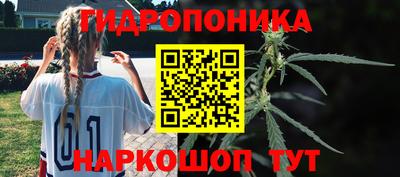 гашик Будённовск