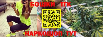 гашик Будённовск