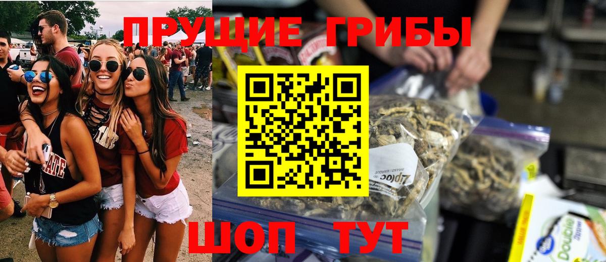 Канск  купить закладку  Вход с VPN  Псилоцибиновые грибы Psilocybe 